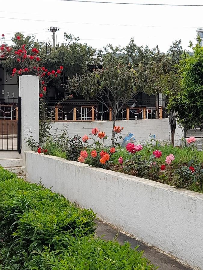 Vila F&M 사밀 외부 사진